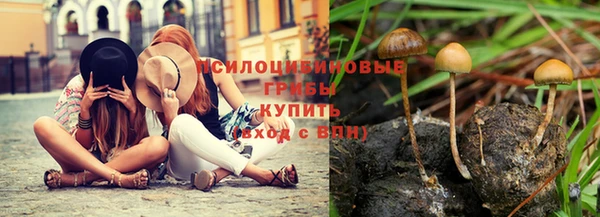 spice Баксан